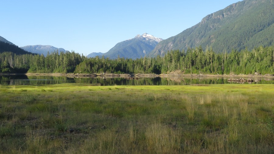 Camping in Strathcona Park (Ralph River Campground)